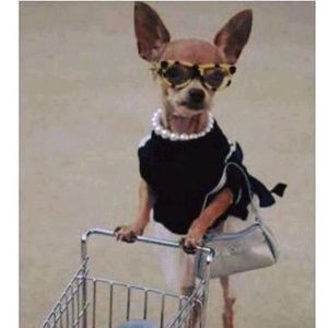 Meet your Posher, Jean